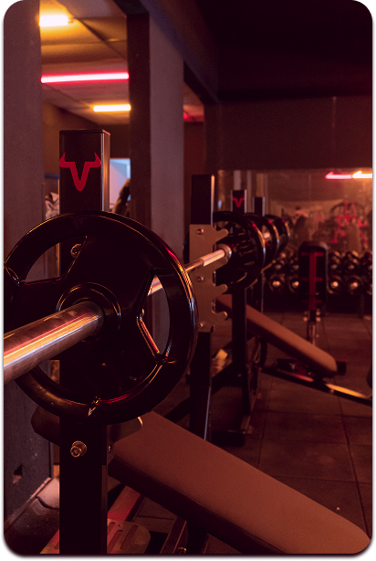 Equipamento Torion 2